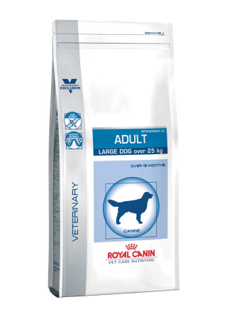 Adult large dog